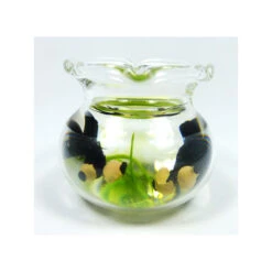 Creal 77020 Aquarium Rund 1:12 Für Puppenhaus -Spielwarenladen 77020 1 Aquarium rundXpoWFeWFBsTea